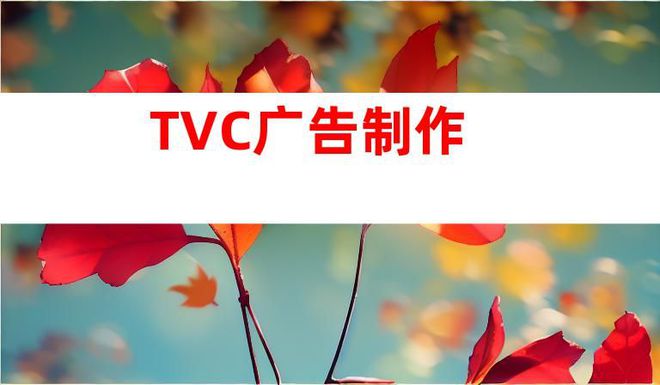 专注视频拍摄服务苏州精彩企业宣传片和TVC广告制作！(图1)